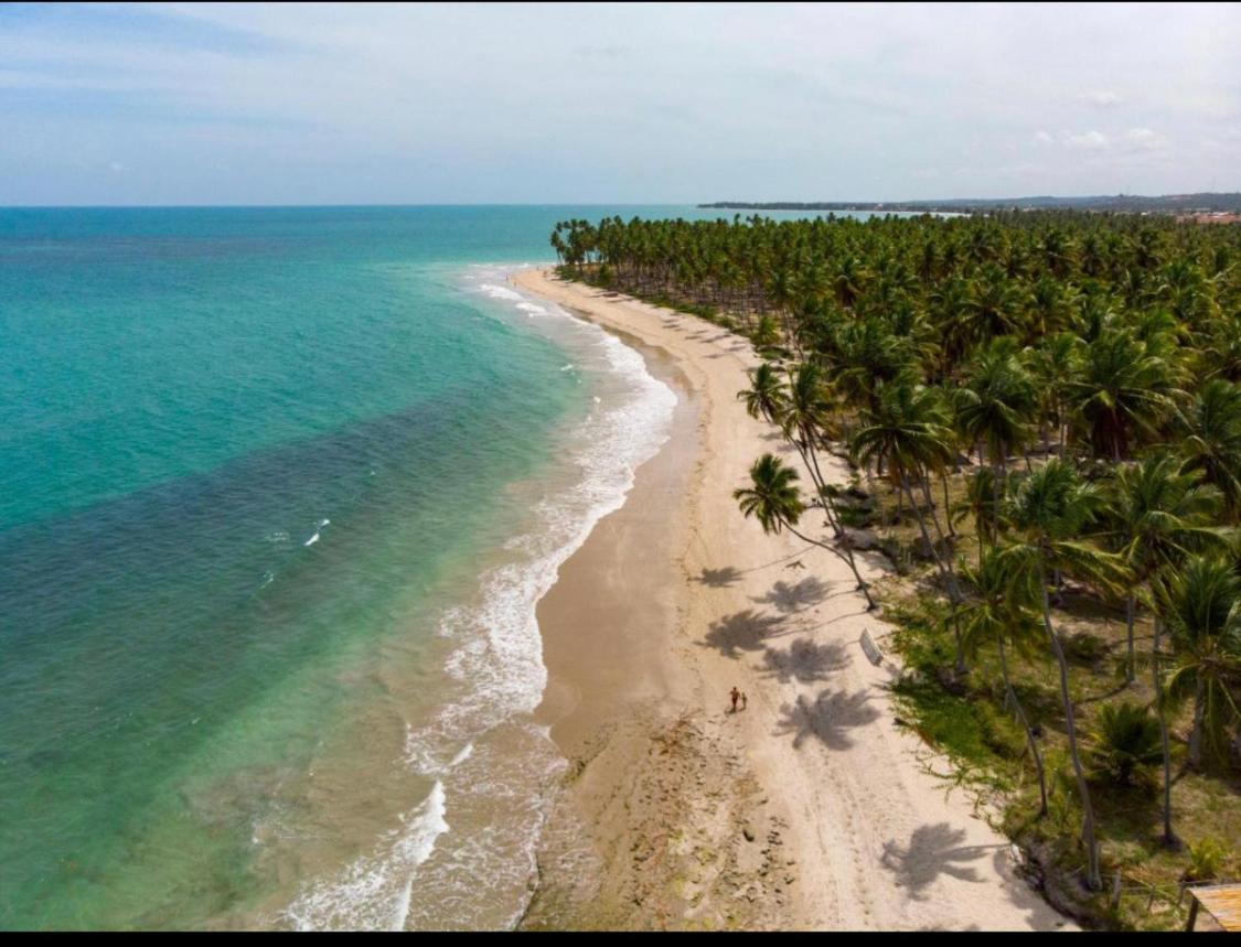 Praia Dos Carneiros Eco Resort Luxuoso Tamandaré Eksteriør billede